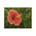 Orange Hibiscus Flower Tropical Floral Wood Poster