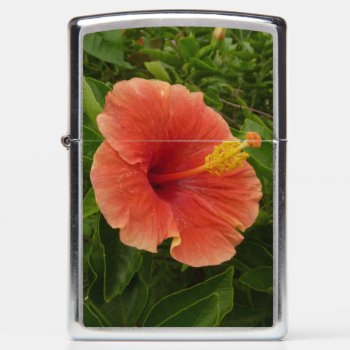 Orange Hibiscus Flower Tropical Floral Zippo Lighter by mlewallpapers at Zazzle