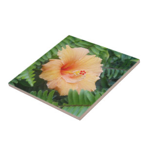 Orange Hibiscus Flower with Ferns Ceramic Tile