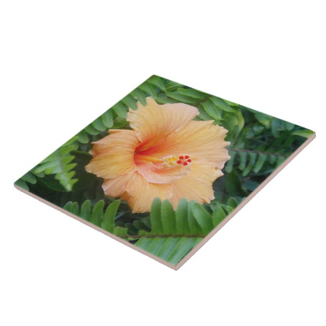 Orange Hibiscus Flower with Ferns Tile (Side)