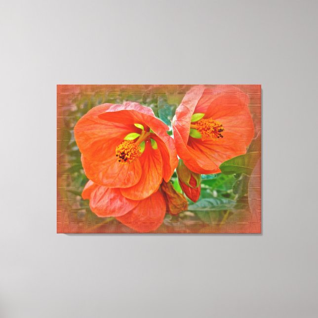 Orange Hibiscus Flowers Canvas Print (Front)