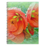 Orange Hibiscus Flowers Notebook at Zazzle