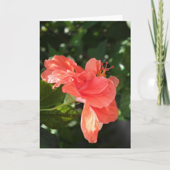 Orange Hibiscus Greeting Card (Front)