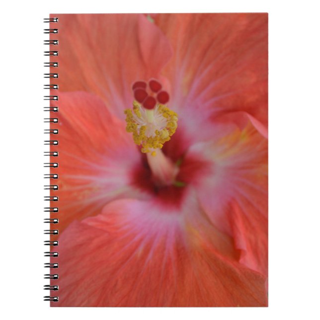 Orange Hibiscus Notebook (Front)