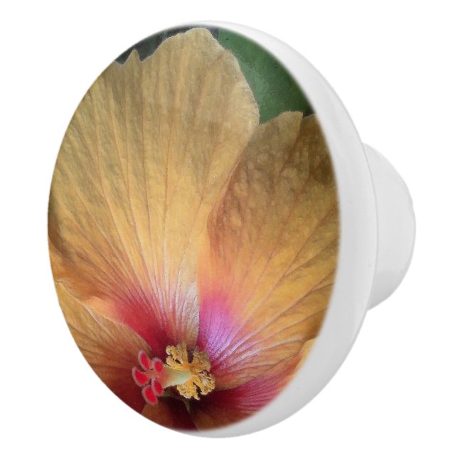 Orange Hibiscus Ruffle Ceramic Knob (Right)