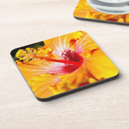 Orange Hibiscus Side View Drink Coaster