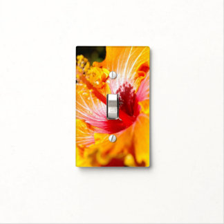 Orange Hibiscus Side View Light Switch Cover