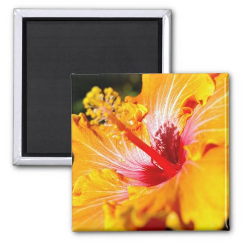 Orange Hibiscus Side View Magnet