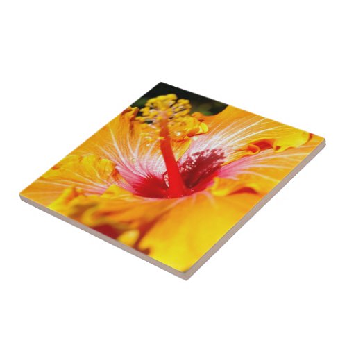 Orange Hibiscus Side View Tile