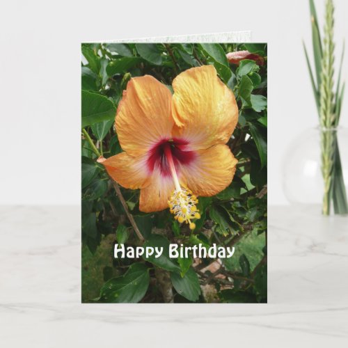 Orange Hibiscus Tropical Flower Birthday Template