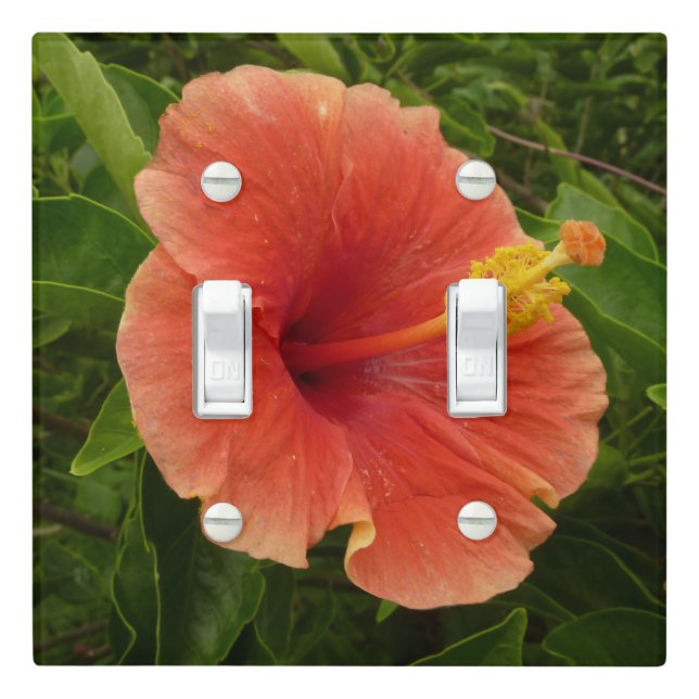 Orange Hibiscus Tropical Flower Light Switch Cover (In Situ)