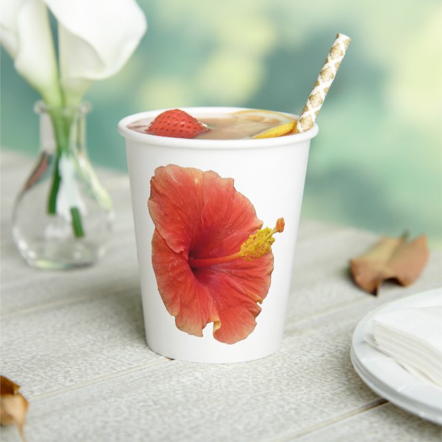 Orange Hibiscus Tropical Flower Paper Cups (Insitu)