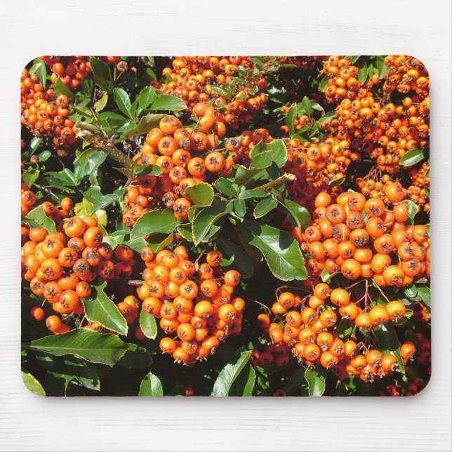 Orange Holly Berries Mouse Pad (Front)