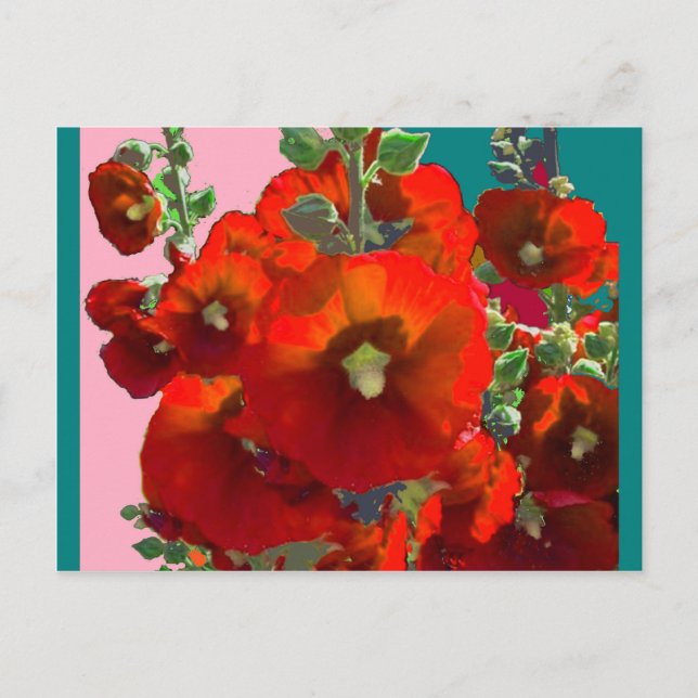Orange Hollyhock Garden Gifts Postcard (Front)