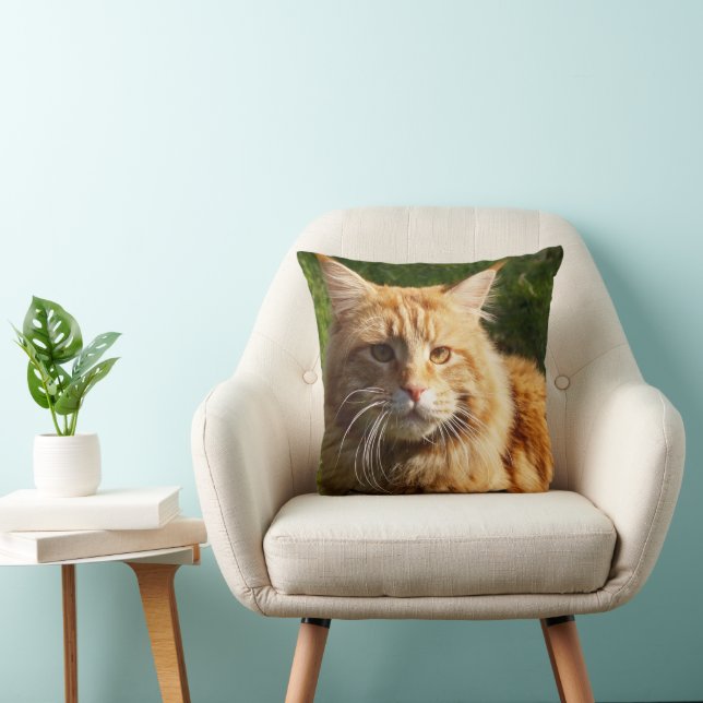 Orange House Cat Throw Pillow (Chair)