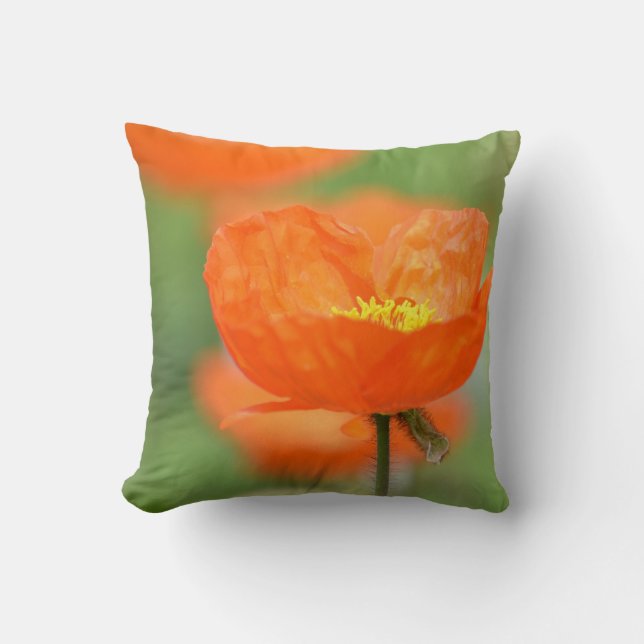 Orange Iceland Poppy Flower Throw Pillow (Front)