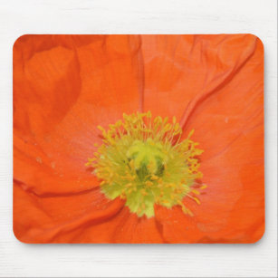 Orange Iceland Poppy III Mouse Pad