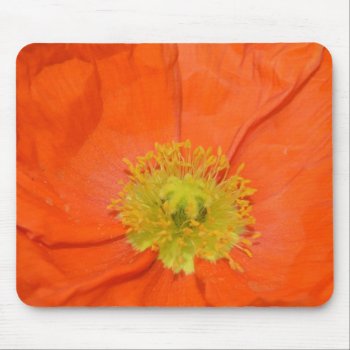 Orange Iceland Poppy Iii Mouse Pad by joacreations at Zazzle