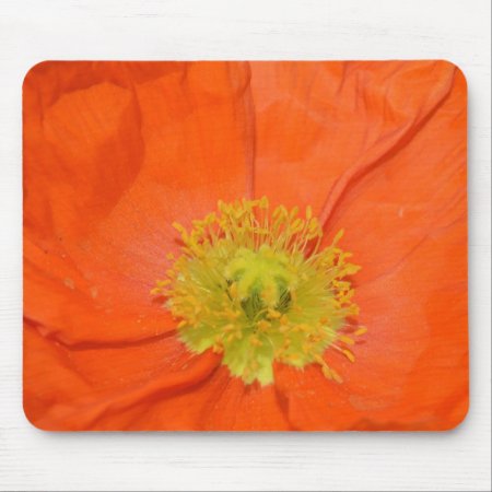 Orange Iceland Poppy Iii Mouse Pad