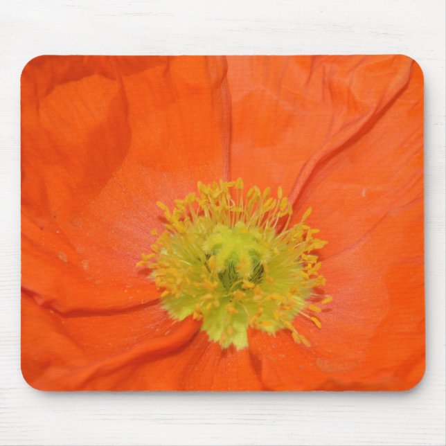Orange Iceland Poppy III Mouse Pad (Front)