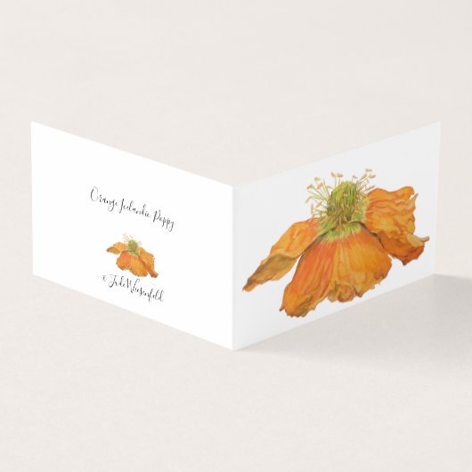 Orange Icelandic Poppy (Outside)