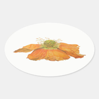 Orange Icelandic Poppy Oval Stickers, Glossy Oval Sticker