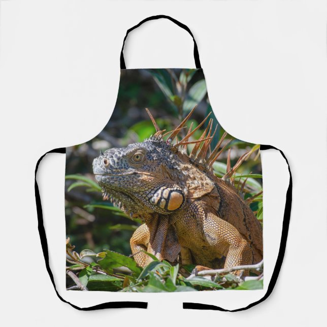 Orange Iguana, Belize Lizard Apron (Front)