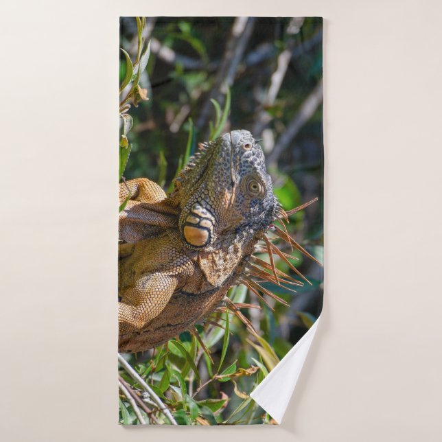 Orange Iguana, Belize Photography Bath Towel Set (Bath Towel)
