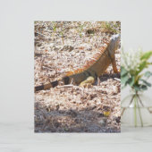 Orange Iguana hunts (Standing Front)