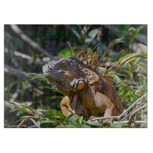 Orange Iguana Wildlife Lizard Photography Cutting Board