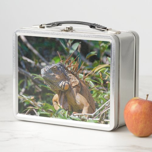 Orange Iguana Wildlife Lizard Photography Metal Lunch Box