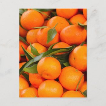 Orange In Winter Postcard by Spetenfia at Zazzle