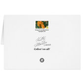 Orange Iris Cards (Back Horizontal)