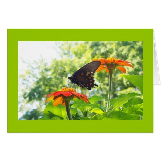 Orange is My Happy Color Cards (Front Horizontal)