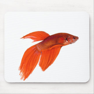 Orange Japanese Fighting Siamese Betta Fish Mouse Pad