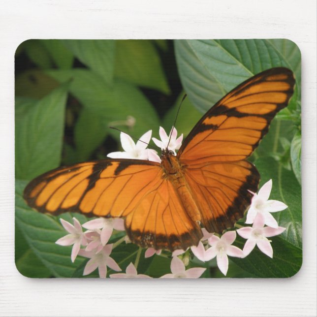 Orange Julia Butterfly Mousepad (Front)