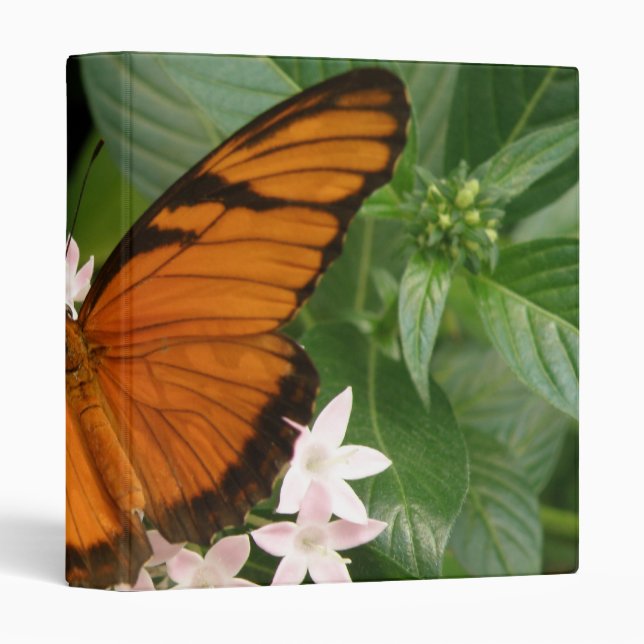 Orange Julia Butterfly Photo Album Binder (Front/Spine)