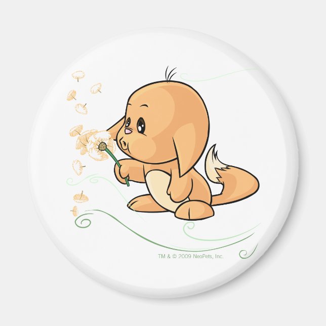 Orange Kacheek wishing on a dandelion Magnet (Front)