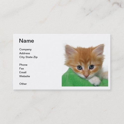 Orange Kitten Business Card