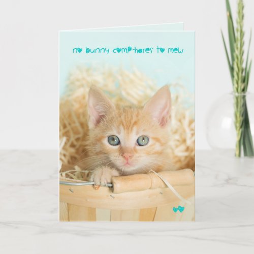 Orange Kitten Easter Cute card