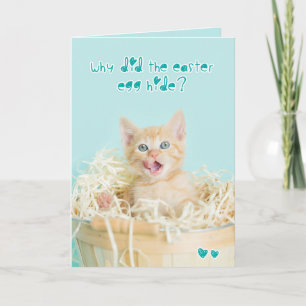 Orange Kitten Easter Joke Holiday Card