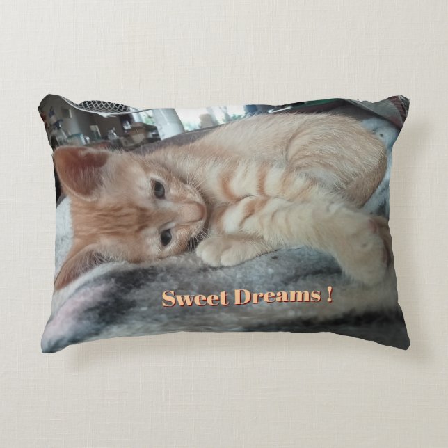 Orange Kitten , Funny Text ,  Photo Customisable   Accent Pillow (Front)