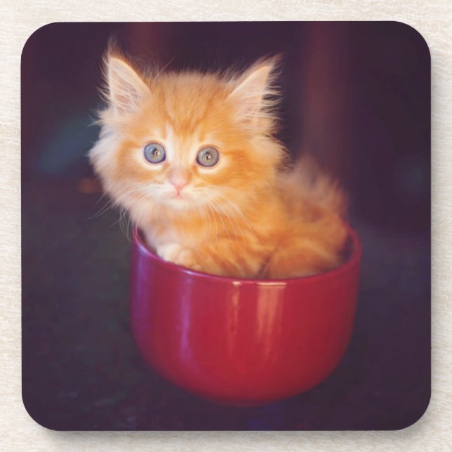 Orange Kitten In A Red Mug Drink Coaster (Front)
