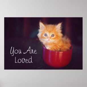 Orange Kitten In A Red Mug Poster