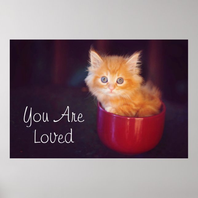 Orange Kitten In A Red Mug Poster (Front)