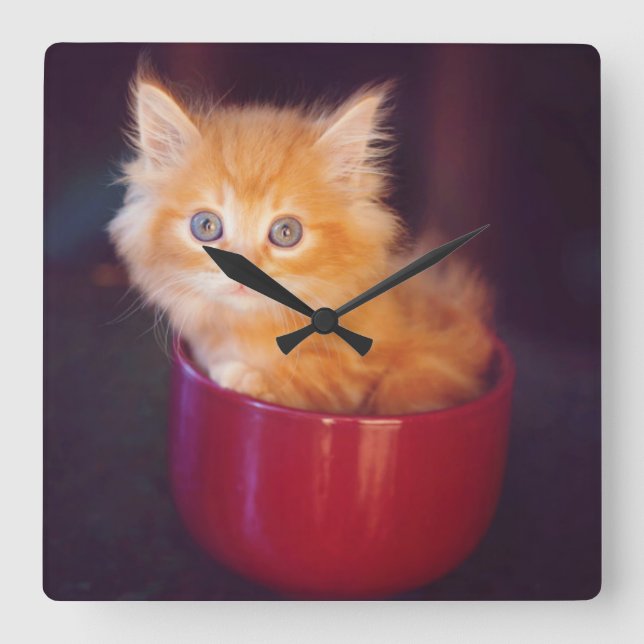 Orange Kitten In A Red Mug Square Wall Clock (Front)