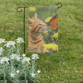 Orange Kitten Orange Butterfly Garden Flag