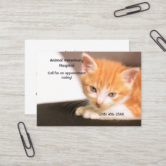 Orange Kitten Pet Care Appointment Business Card (Front/Back In Situ)