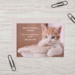 Orange Kitten Pet Care Appointment  Business Card