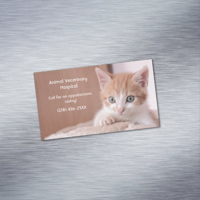 Orange Kitten Pet Care  Business Card Magnet (In Situ)